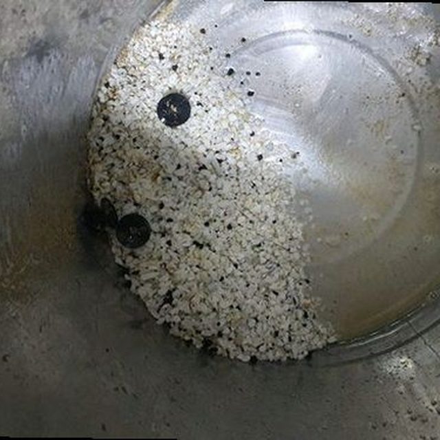 군포 하수구막힘 대야동