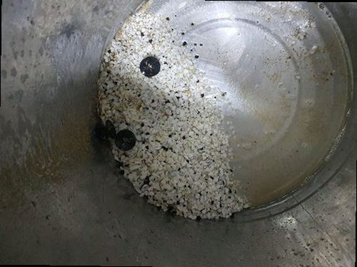 군포 대야동 하수구막힘 배수 상태와 배관 연결부를 확인하는 모습